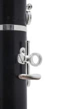 Selmer Seles Proloque-2