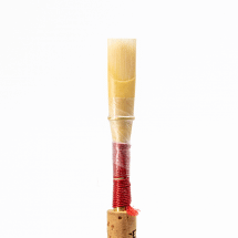 chiarugi obo reed-closeup