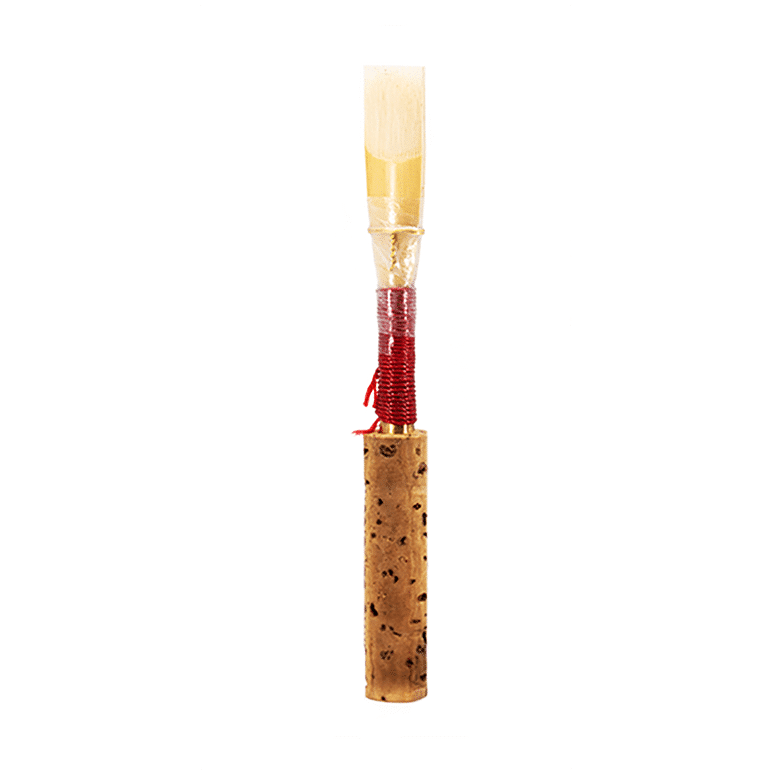 chiarugi obo reed