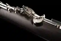 backun-bb-clarinet-model